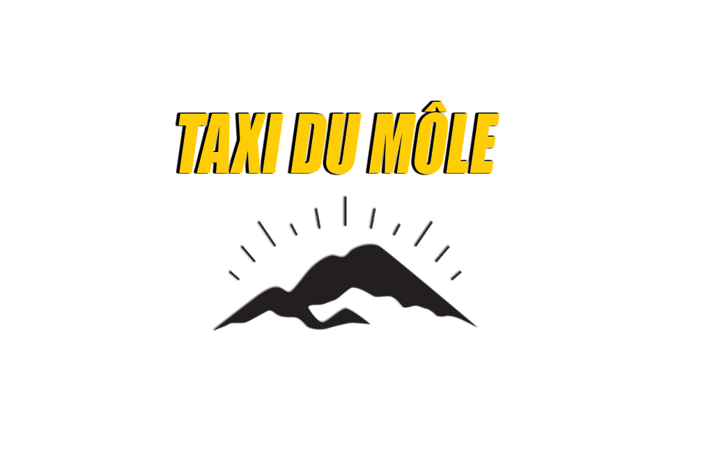 Logo Taxi Du Môle