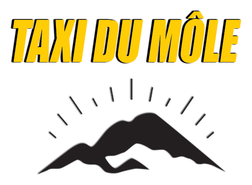 Logo Taxi du Môle