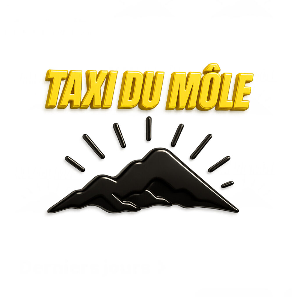 Taxi MDPH
