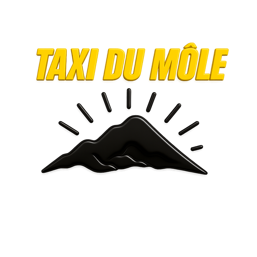Taxi du Môle - Logo